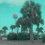 Onlyfans leaked zanesville 

 profile picture