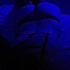 🦋Fire_anddesiire🦋 zena20 Leak OnlyFans 

 profile picture