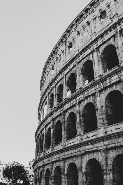 Header of zendad