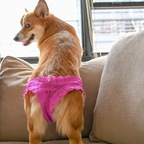 Onlyfans leaks zippbrush 

 profile picture