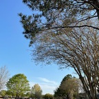 Zrail ABB zrail Leaked OnlyFans 

 profile picture